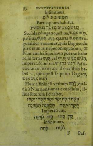 73