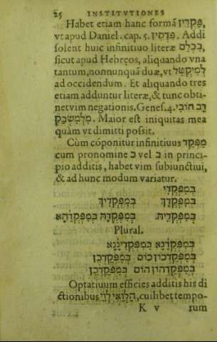 25