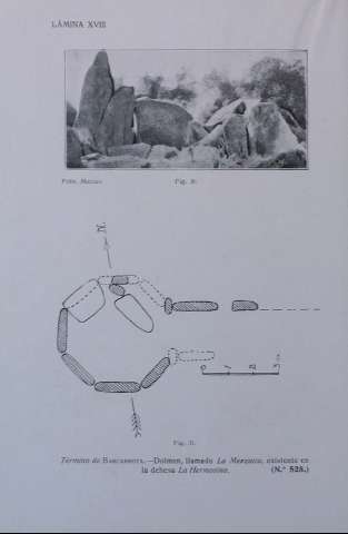 XVIII