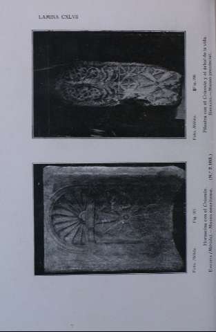 CXLVII