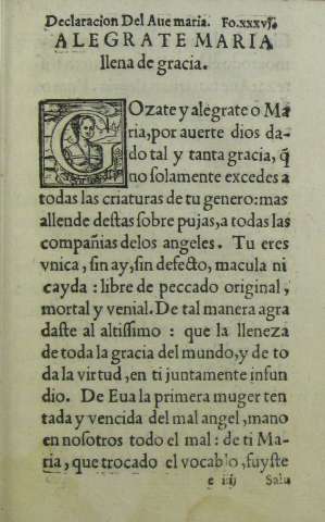 xxxvi