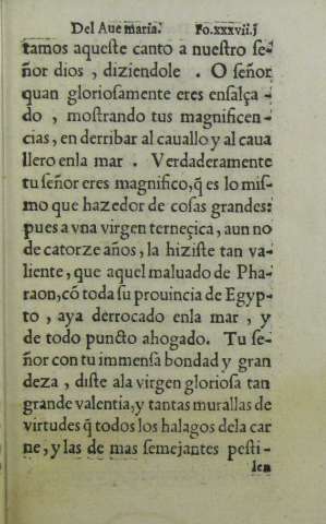 xxxvii