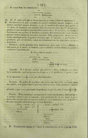 31