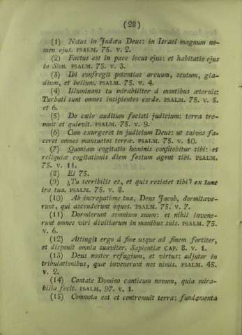 28