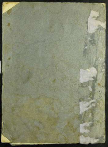Tapa