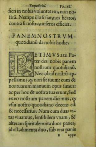 161