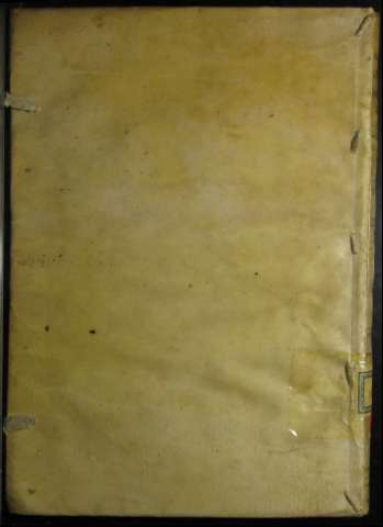 Tapa
