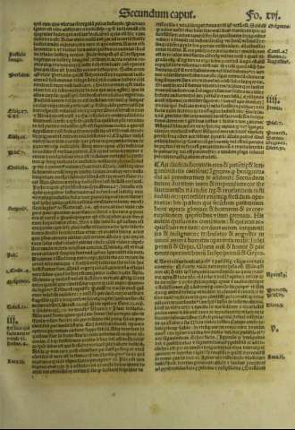 XVI