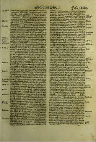 CXXXII