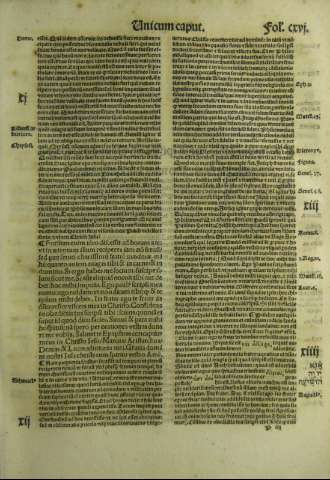 CXVI