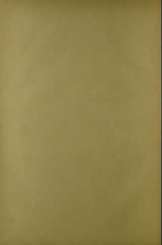 80