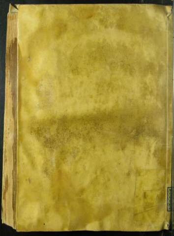 Tapa