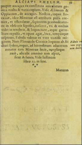91