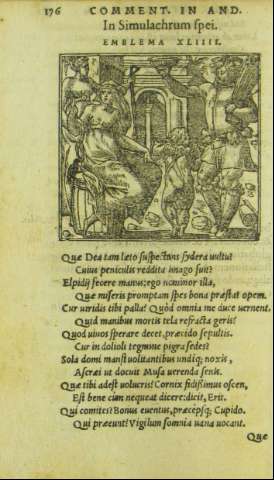176