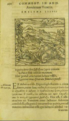 250