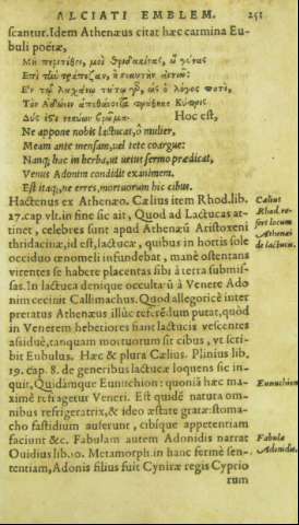 251