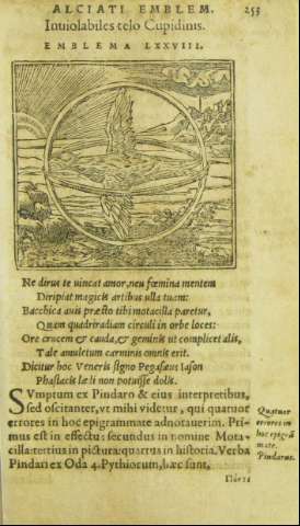 253
