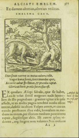371