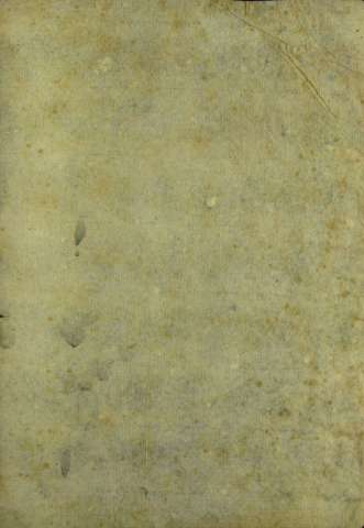 Guarda