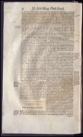 42