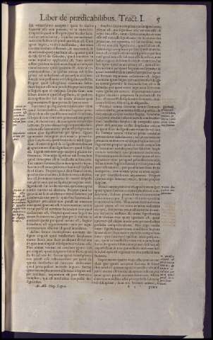 45