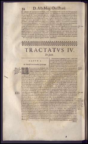 74