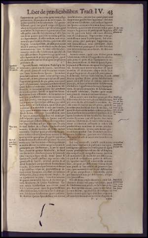 83