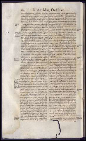 104