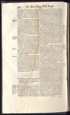 394