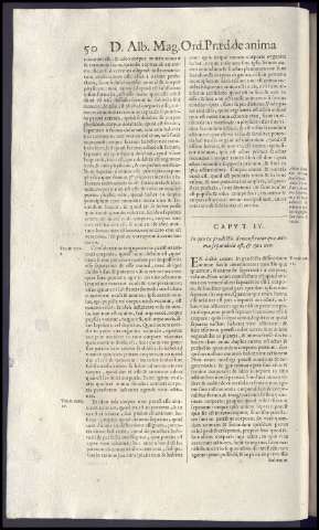 74
