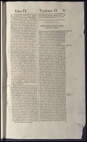85