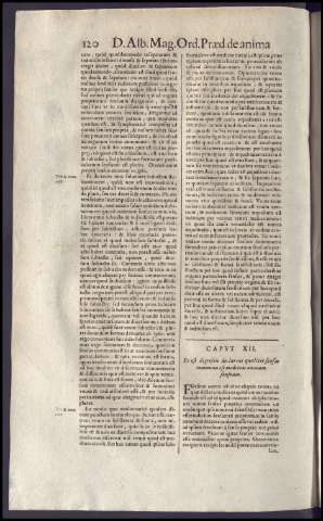 144