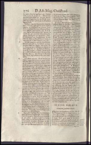 381