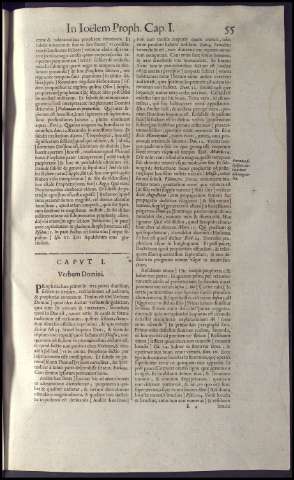 231