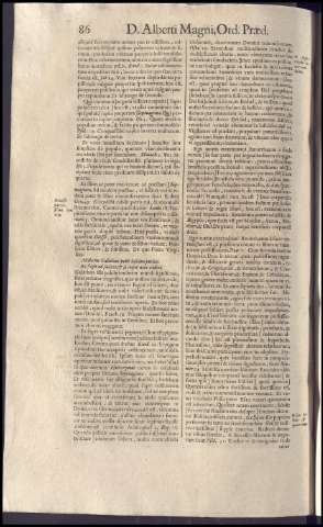 262