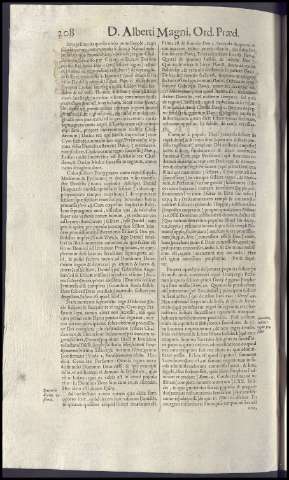 384