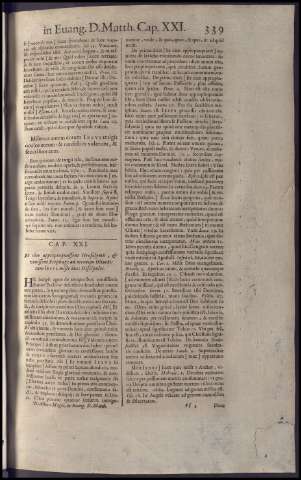 355