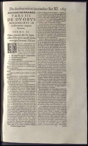 293