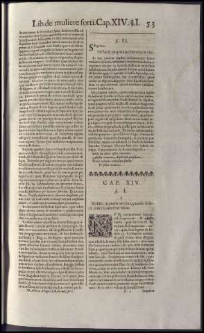 381
