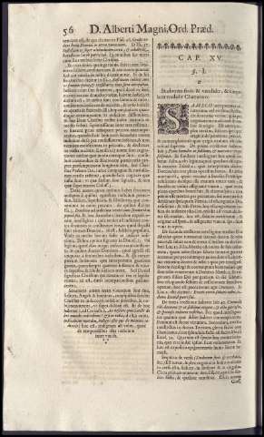 384