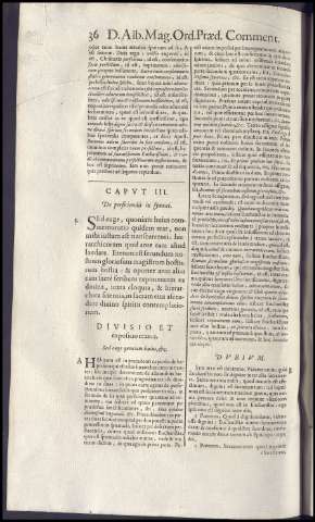 244
