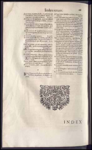 428