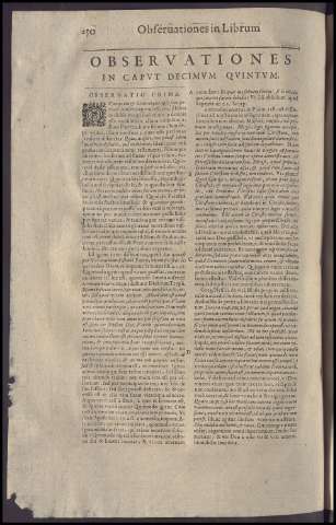 290