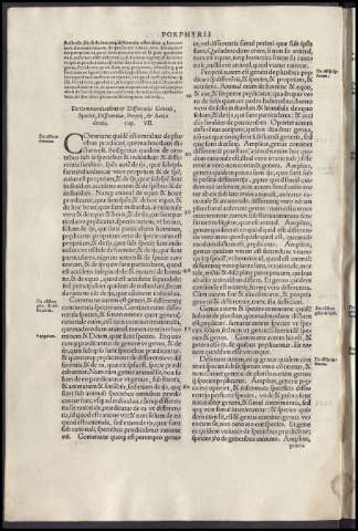 68