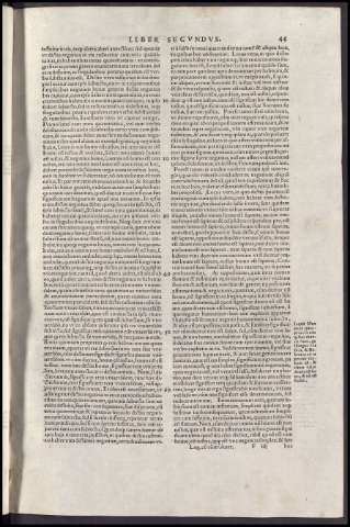 141