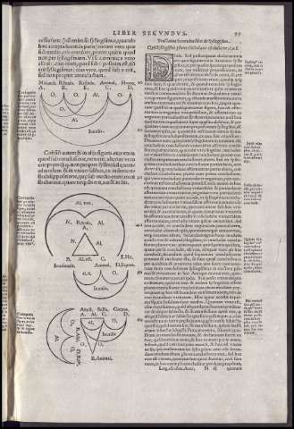 251