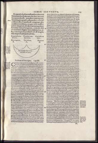 261