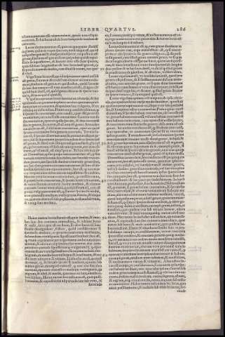 625