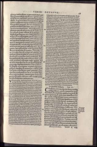 141