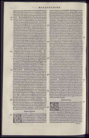 262